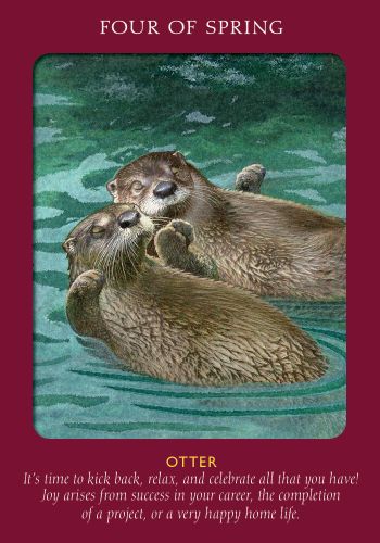 Animal Tarot Cards