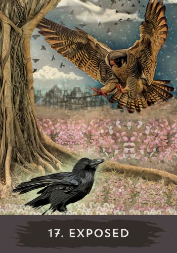 Urban Crow Oracle: A 54-Card Deck and Guidebook: Cullinane
