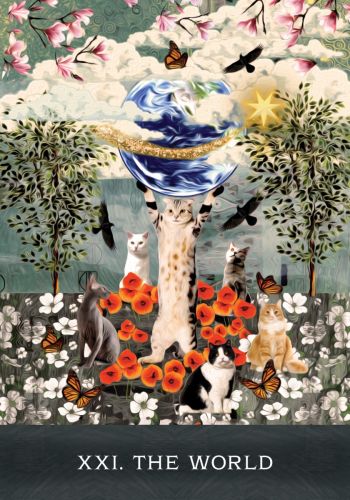 ＧＲＩＭＡＬＫＩＮ’Ｓ　ＣＵＲＩＯＵＳ　ＣＡＴＳ　ＴＡＲＯＴ Tarot Deck - Grimalkin's Curious Cats Tarot — Twenty Sided™