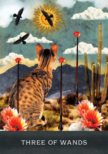 ＧＲＩＭＡＬＫＩＮ’Ｓ　ＣＵＲＩＯＵＳ　ＣＡＴＳ　ＴＡＲＯＴ Grimalkin's Curious Cats Tarot: An 80-Card Deck and