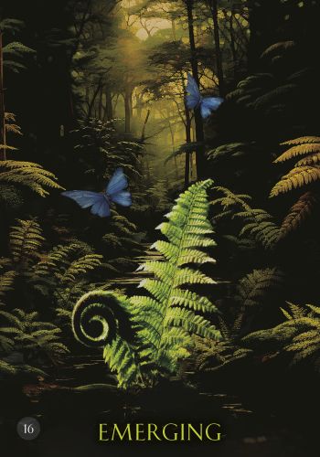 Soul Coaching Oracle Cards view 10