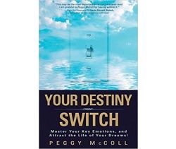 Your Destiny Switch