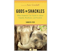 Gods in Shackles Paperback Book