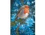 The Earth Guardian Oracle view 7