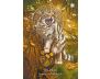The Earth Guardian Oracle view 11