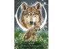 The Earth Guardian Oracle view 8