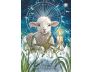 The Earth Guardian Oracle view 9