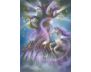 The Magic of Unicorns Oracle Cards view 4