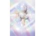 The Magic of Unicorns Oracle Cards view 9