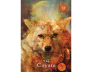 Mystical Shaman Pocket Oracle Cards view 4