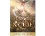 Angels of Nature Oracle view 1