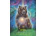 Archangel Animal Oracle Cards view 3