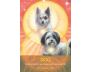 Archangel Animal Oracle Cards view 7