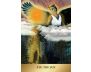 The Enchanted Förhäxa Tarot view 9