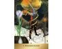 The Enchanted Förhäxa Tarot view 10