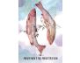 Sisterhood of the Seers Oracle view 4