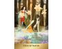 The Enchanted Förhäxa Tarot view 2