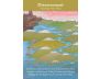 Divine Beloved Oracle Cards view 4
