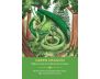 Dragon Oracle Cards view 6