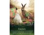 Oracle of the Fairies view 10