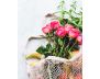 Food Babe Kitchen view 9
