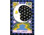 The Gentle Thrills Tarot view 5