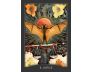 The Guardian of the Night Tarot view 12