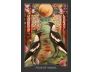 The Guardian of the Night Tarot view 9