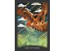 The Guardian of the Night Tarot view 8
