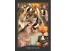 The Guardian of the Night Tarot view 5