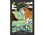 The Guardian of the Night Tarot view 3