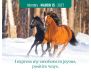 I Can Do It® 2027 Calendar view 3