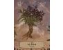 The Herbal Astrology Pocket Oracle view 2