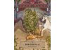 The Herbal Astrology Pocket Oracle view 5