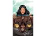 The Light Seer's Pocket Tarot view 10