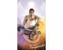 The Light Seer's Pocket Tarot view 7