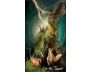The Light Seer's Pocket Tarot view 5