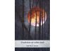 Moonology Oracle Cards view 8