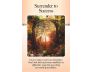 The Power of Surrender Cards view 9