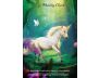 Angels & Auras Oracle view 5