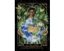 The Empath's Healing Oracle view 2
