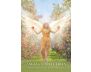 Angels of Nature Oracle view 6