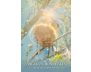 Angels of Nature Oracle view 7