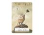 Wisdom of the Oracle Pocket Divination Cards view 9