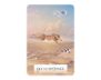 Wisdom of the Oracle Pocket Divination Cards view 5