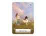 Wisdom of the Oracle Pocket Divination Cards view 7