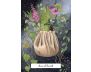 The Witches' Wisdom Tarot (Standard Edition) view 8
