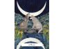 The Witches' Wisdom Tarot (Standard Edition) view 6