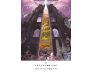 Work Your Light Oracle Cards view 8